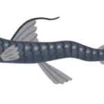 深海魚「ホウライエソ」とは？生態・特徴を徹底解説！