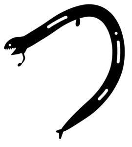 深海魚「ミツマタヤヤリウオ」とは？生態・特徴を徹底解説！