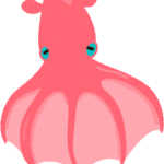 深海生物「コウモリダコ」とは?生態・特徴を徹底解説!