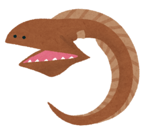 深海魚「フクロウナギ」とは？生態・特徴を徹底解説！