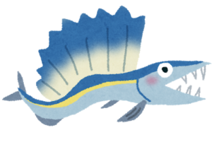 深海魚「ミズウオ」とは?生態・特徴を徹底解説!