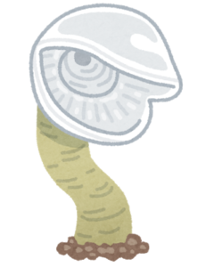 深海生物「オオグチボヤ」とは？生態・特徴を徹底解説！