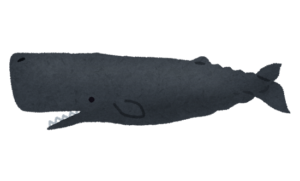 深海生物「マッコウクジラ」とは？生態・特徴を徹底解説！